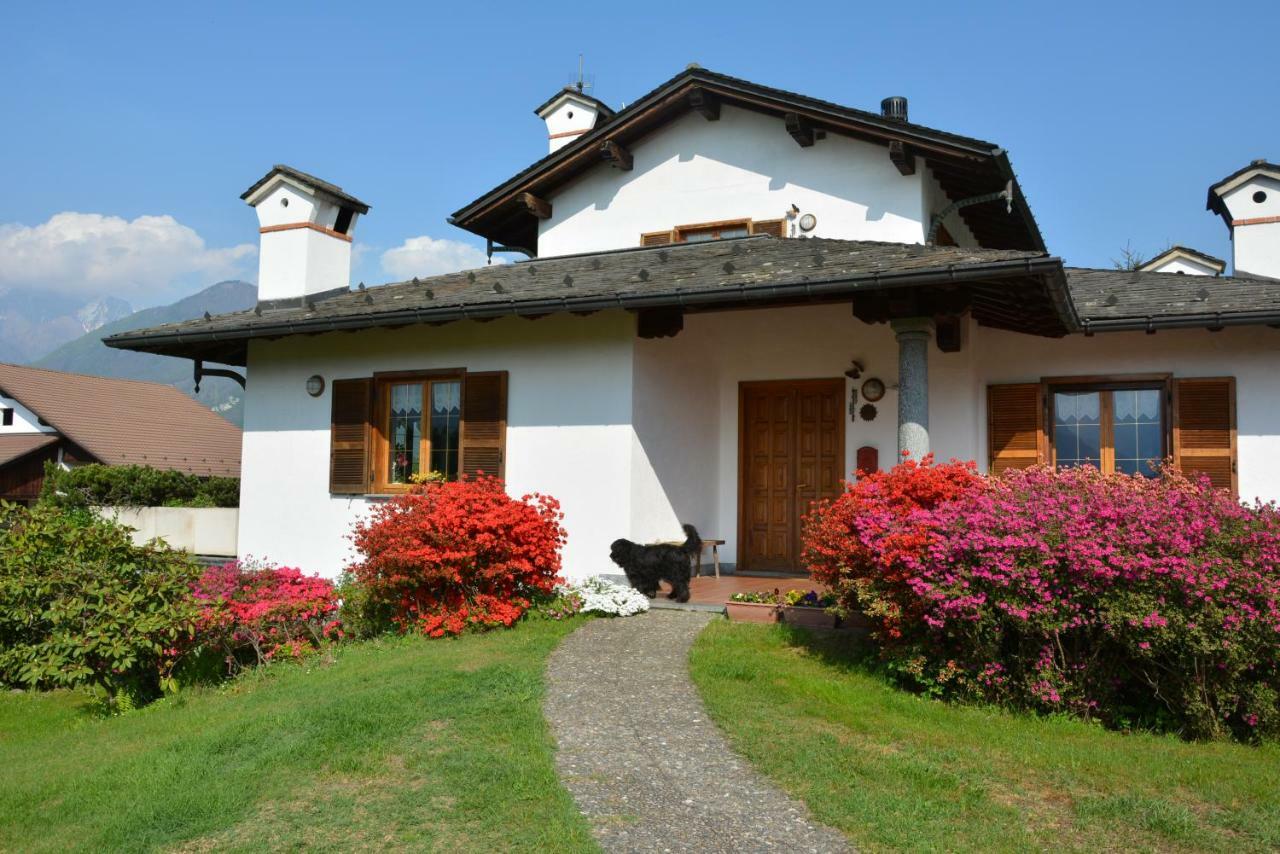Villa Palma Colico Exterior photo